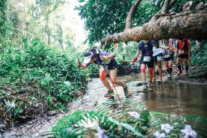 BIB: 
                            <button type="button" onclick="openModal(25461431)" class="btn btn-primary btn-sm float-right btn-popup" data-toggle="modal" data-target=".modal-high-quality">
                        <i class="fas fa-shopping-cart"></i> Add to Cart
                    </button>
                                            <button type="button" onclick="isThisMe(25461431, true)" class="btn btn-success btn-sm float-right btn-popup btn-isme hidden" data-toggle="tooltip" data-placement="bottom" title="นี่คือรูปของคุณใช่ไหม คลิกที่นี่เพื่อเอาเข้าอัลบั้ม">
                        <i class="fas fa-plus"></i> Add to album
                    </button>
                    <button type="button" onclick="isThisMe(25461431, false)" class="btn btn-warning btn-sm float-right btn-popup btn-isnotme hidden">
                        <i class="fas fa-ban"></i> Remove from album
                    </button>